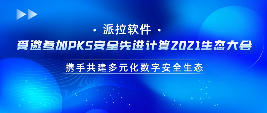 派拉軟件與奇安信結(jié)成戰(zhàn)略合作伙伴，攜手共建多元化數(shù)字安全生態(tài)